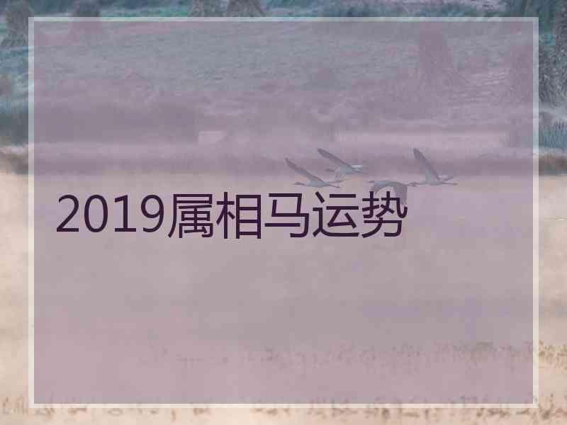 2019属相马运势