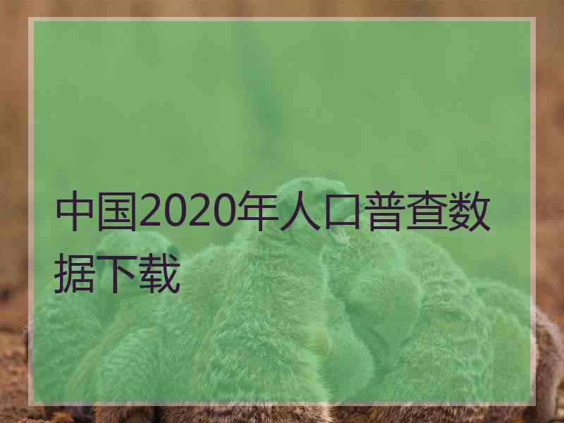 中国2020年人口普查数据下载