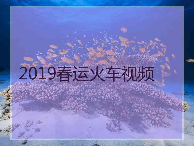 2019春运火车视频