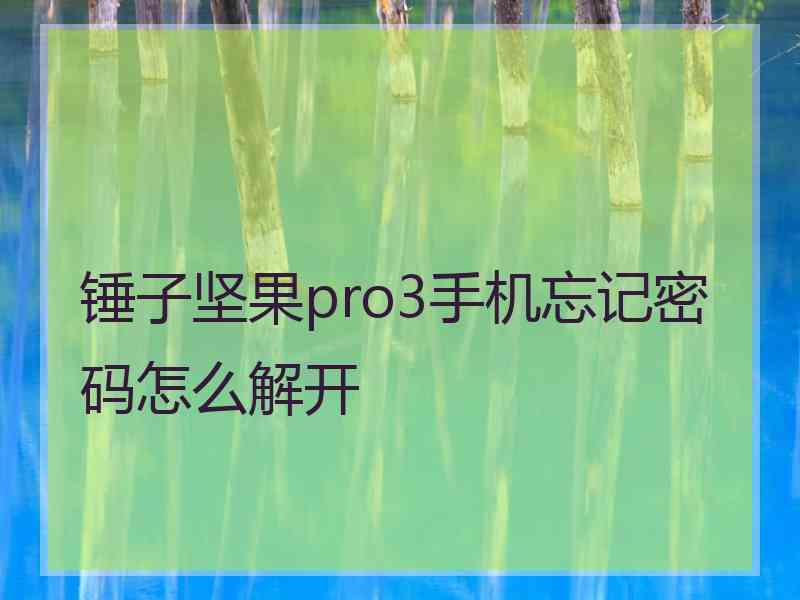 锤子坚果pro3手机忘记密码怎么解开