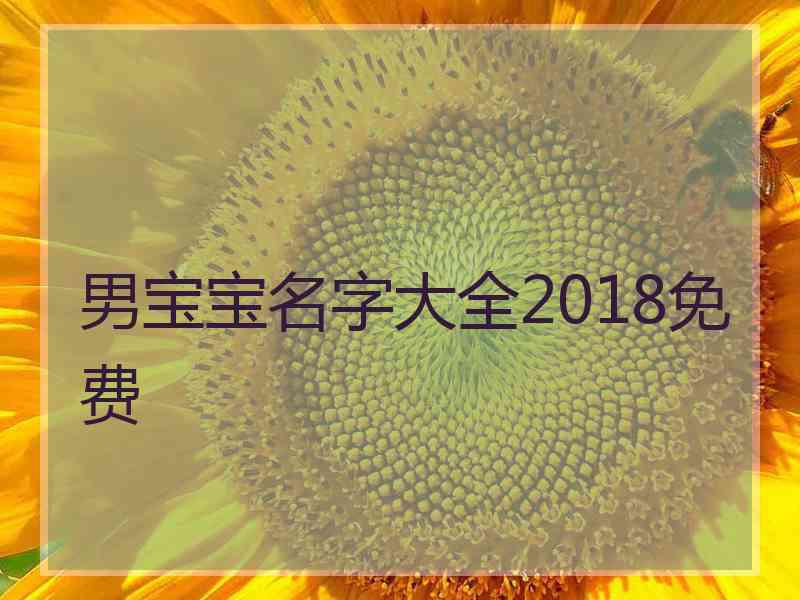 男宝宝名字大全2018免费