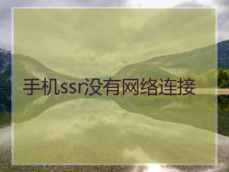 手机ssr没有网络连接