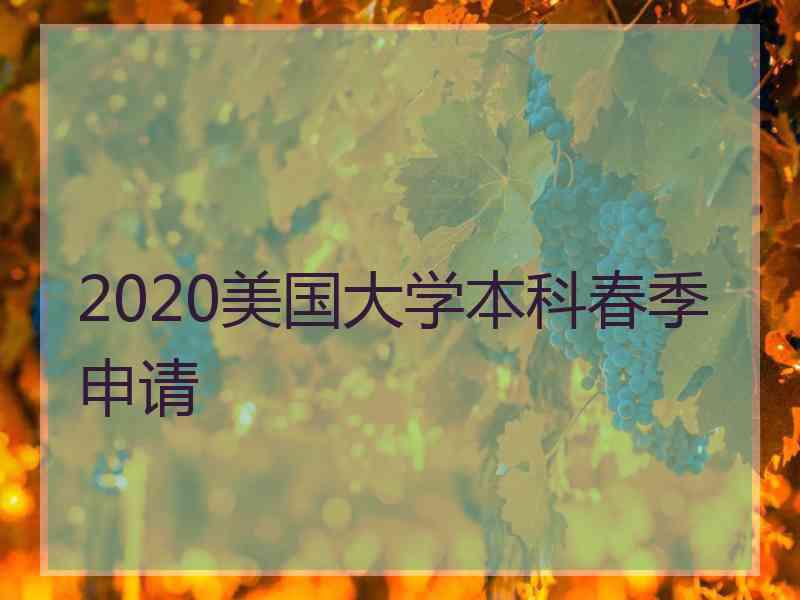 2020美国大学本科春季申请