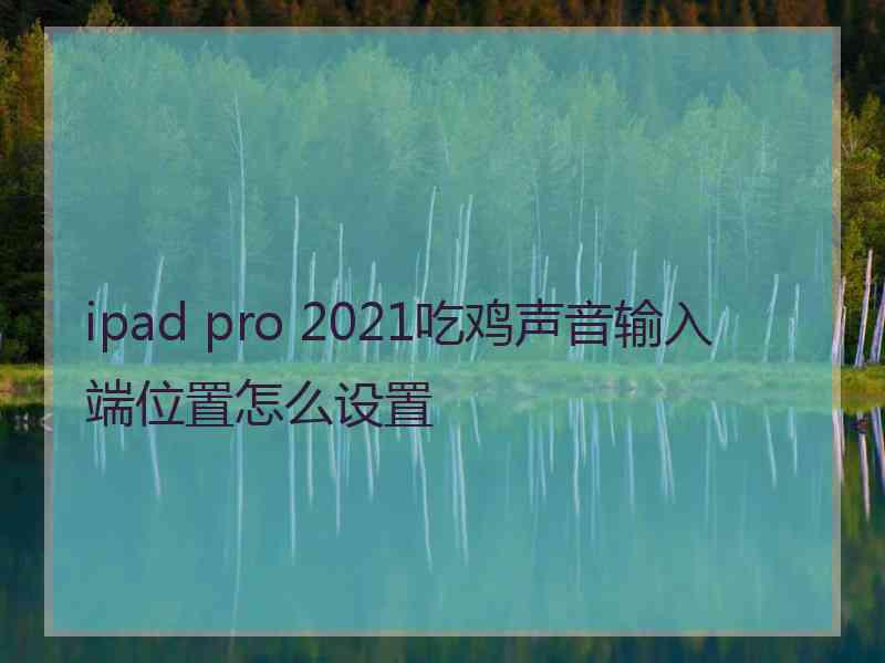 ipad pro 2021吃鸡声音输入端位置怎么设置