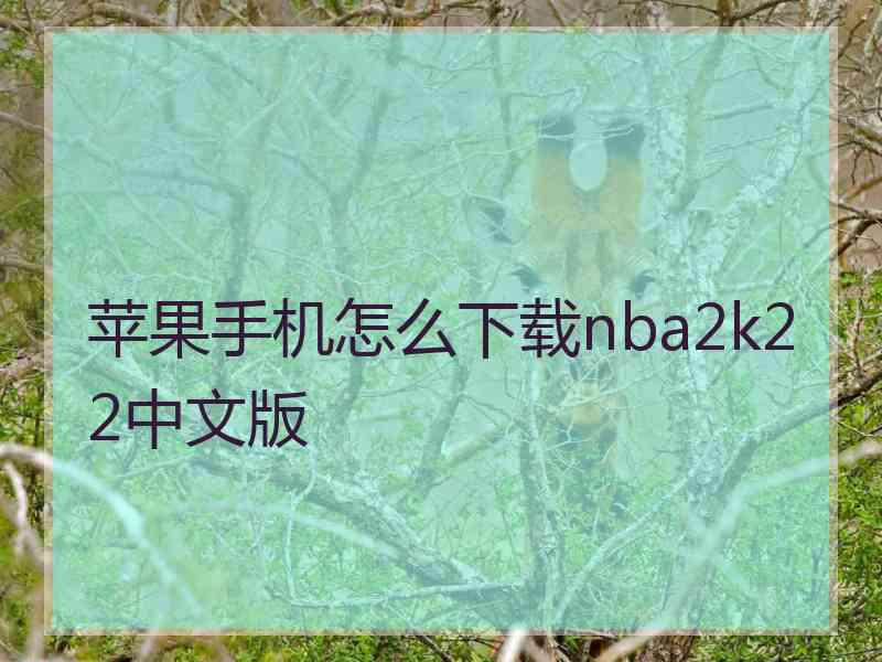 苹果手机怎么下载nba2k22中文版