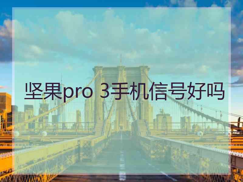 坚果pro 3手机信号好吗