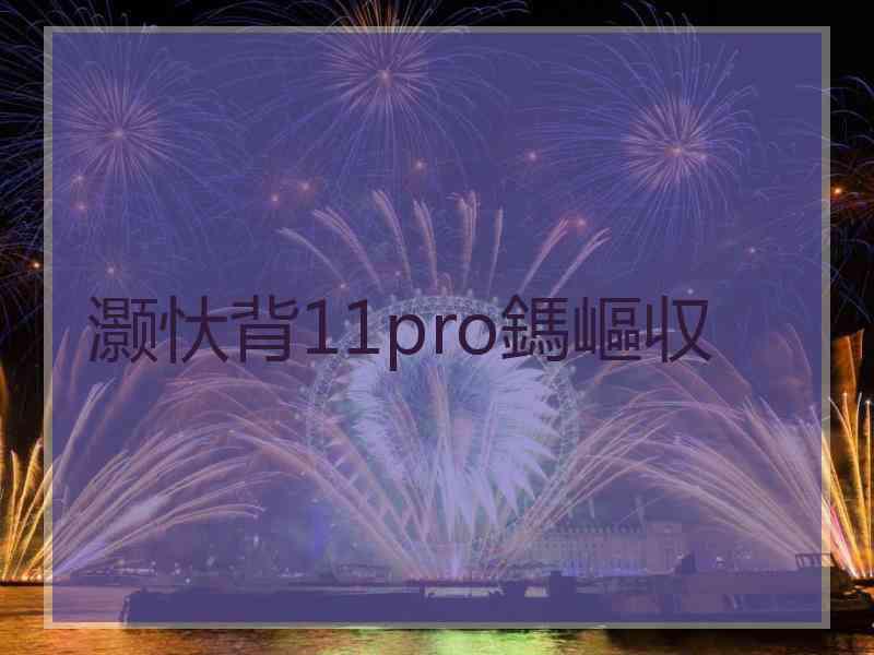 灏忕背11pro鎷嶇収