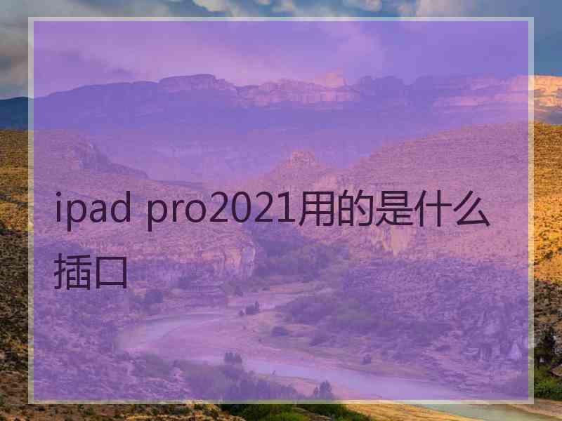 ipad pro2021用的是什么插口