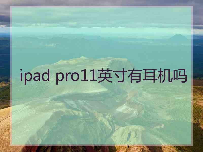 ipad pro11英寸有耳机吗