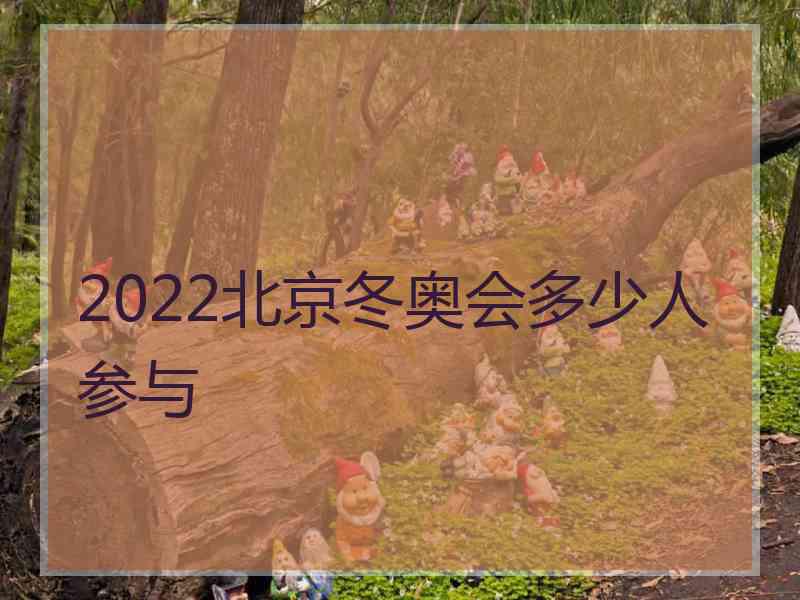 2022北京冬奥会多少人参与