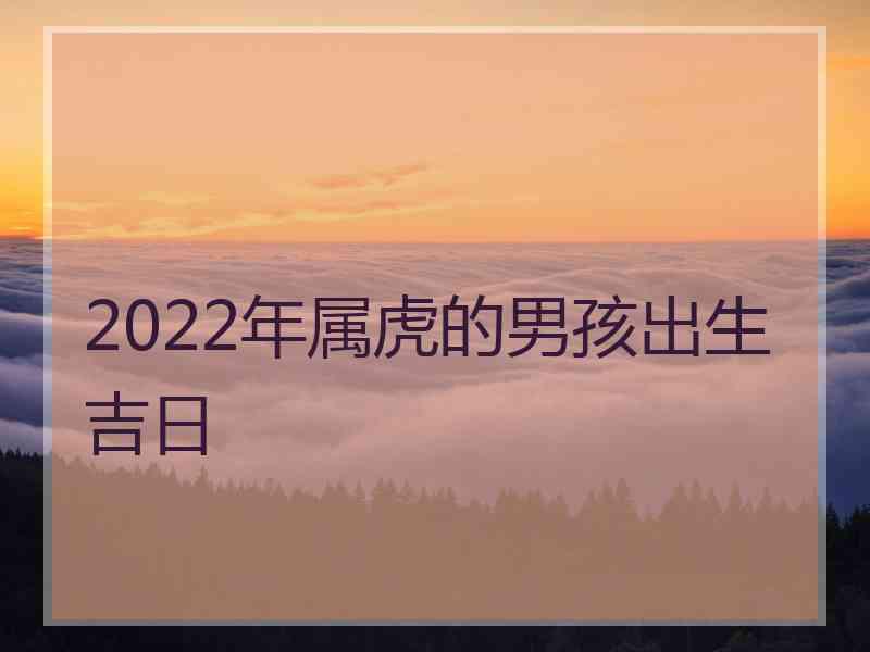 2022年属虎的男孩出生吉日