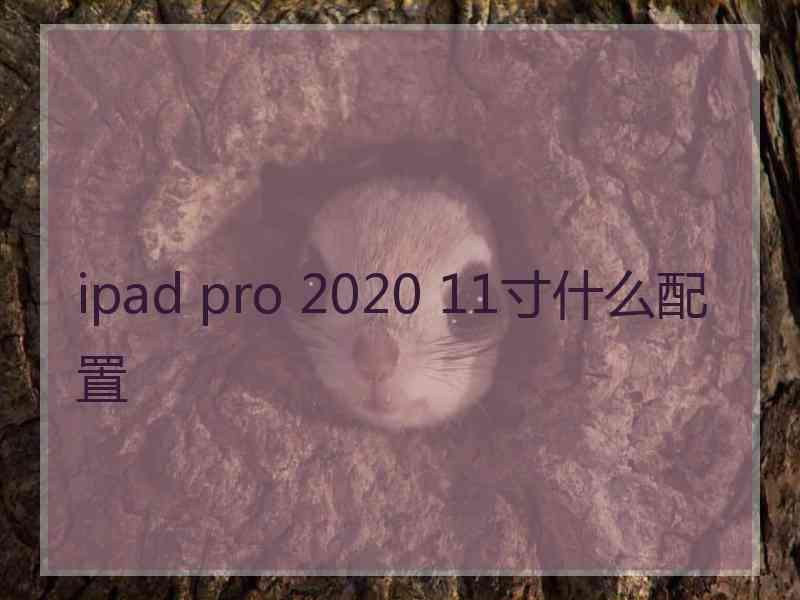 ipad pro 2020 11寸什么配置