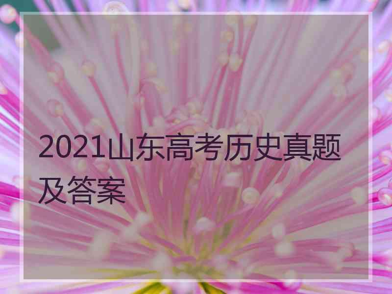 2021山东高考历史真题及答案