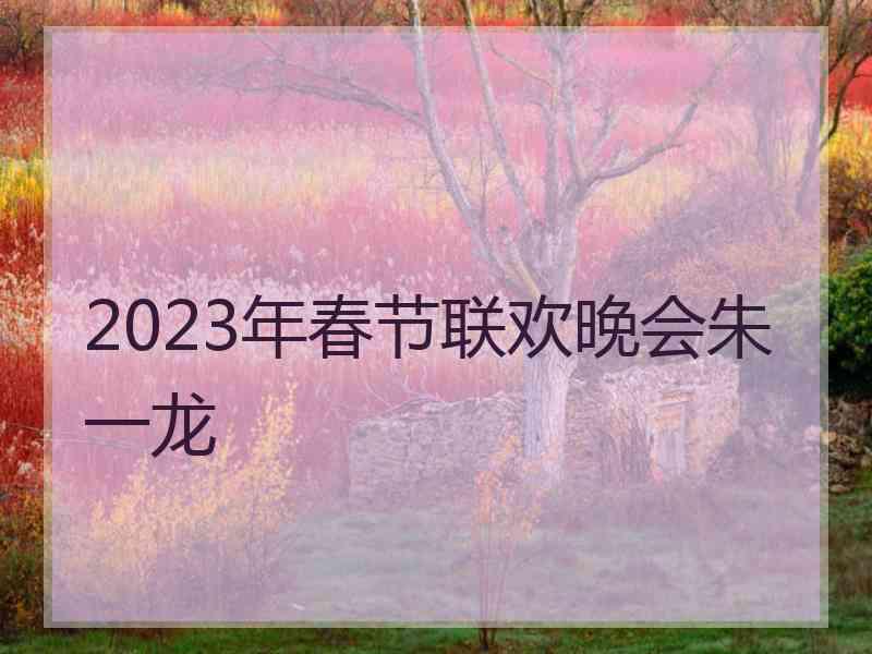 2023年春节联欢晚会朱一龙