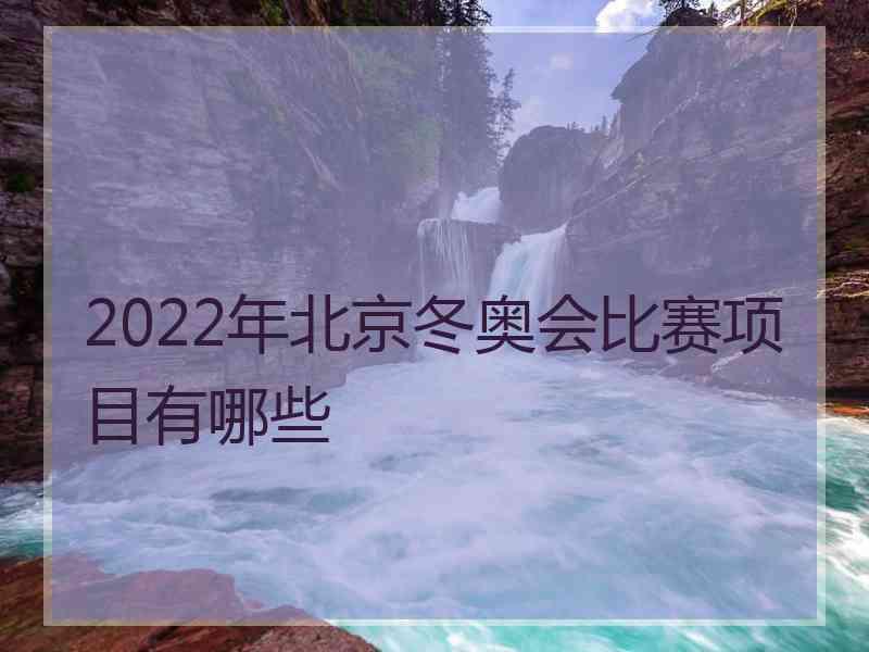 2022年北京冬奥会比赛项目有哪些