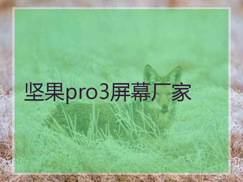 坚果pro3屏幕厂家