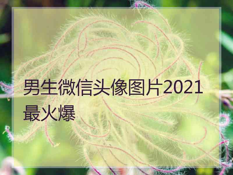 男生微信头像图片2021最火爆