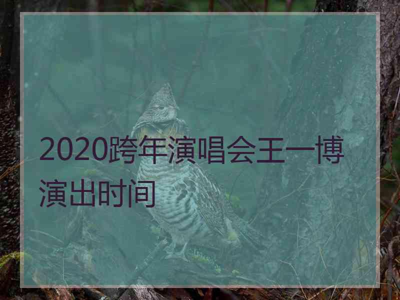 2020跨年演唱会王一博演出时间