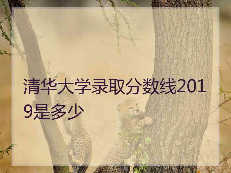 清华大学录取分数线2019是多少