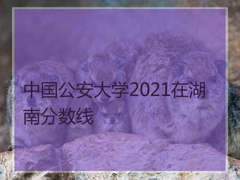 中国公安大学2021在湖南分数线