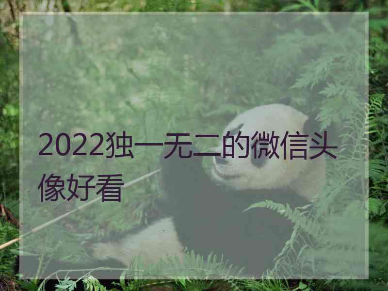 2022独一无二的微信头像好看