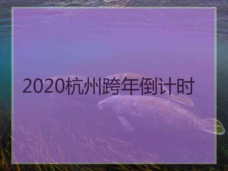 2020杭州跨年倒计时