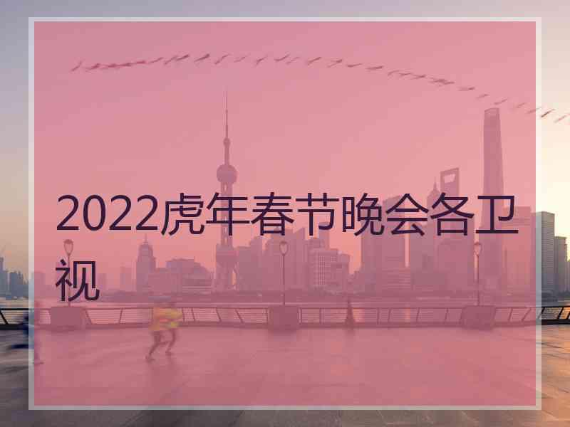 2022虎年春节晚会各卫视