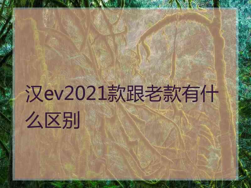 汉ev2021款跟老款有什么区别