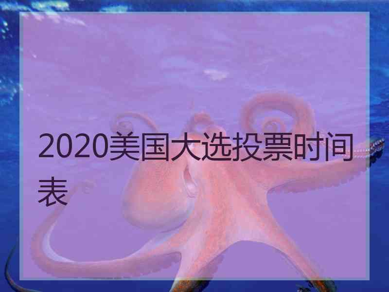 2020美国大选投票时间表