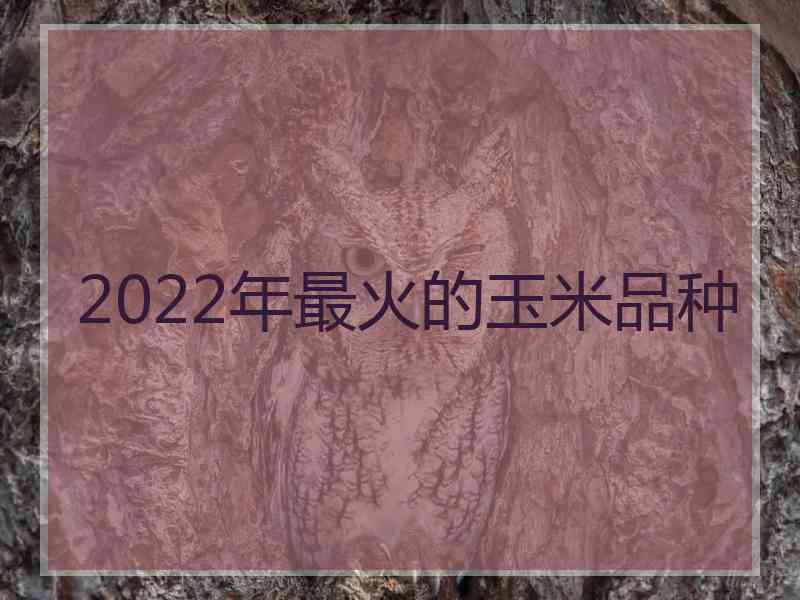 2022年最火的玉米品种