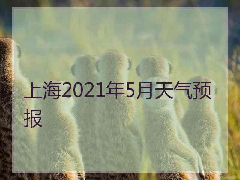 上海2021年5月天气预报