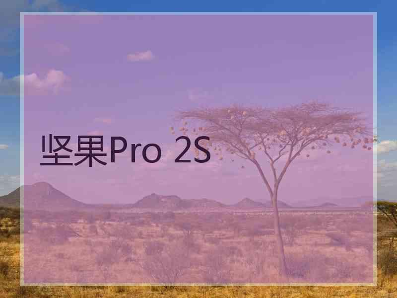 坚果Pro 2S