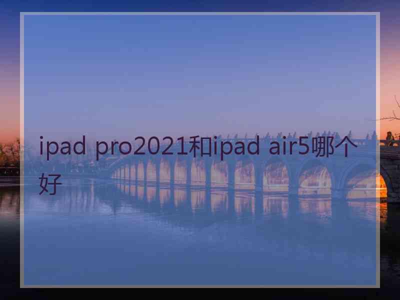 ipad pro2021和ipad air5哪个好