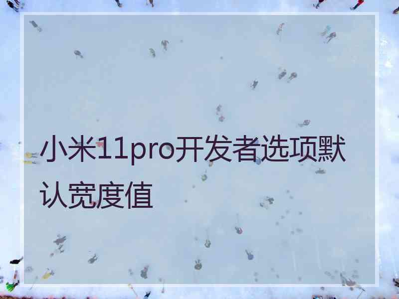 小米11pro开发者选项默认宽度值