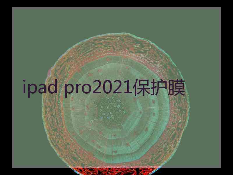 ipad pro2021保护膜