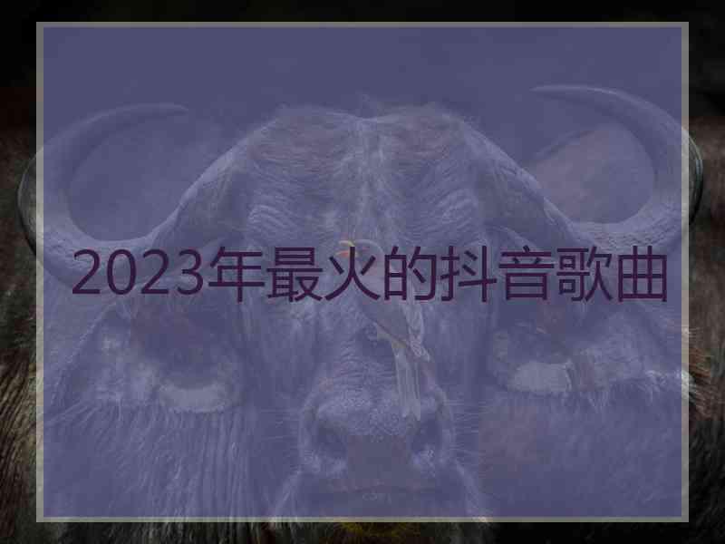 2023年最火的抖音歌曲