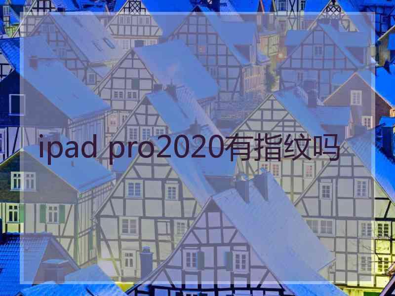 ipad pro2020有指纹吗