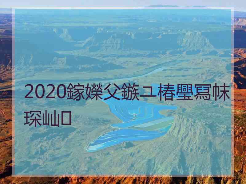 2020鎵嬫父鏃ユ椿璺冩帓琛屾