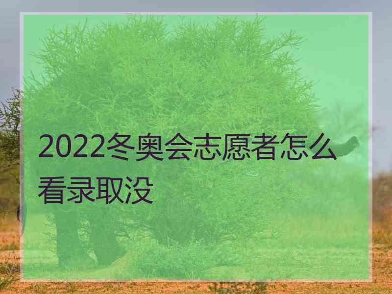 2022冬奥会志愿者怎么看录取没