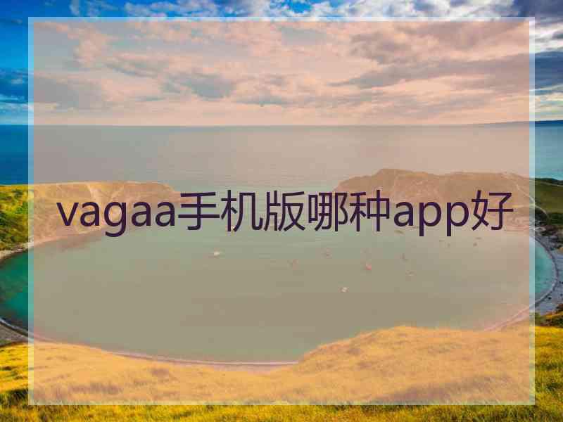 vagaa手机版哪种app好