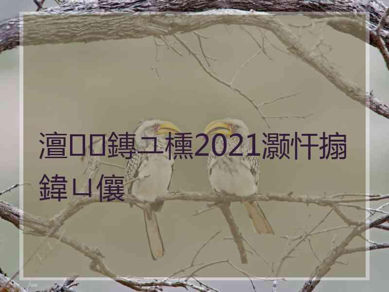 澶鏄ユ櫄2021灏忓搧鍏ㄩ儴