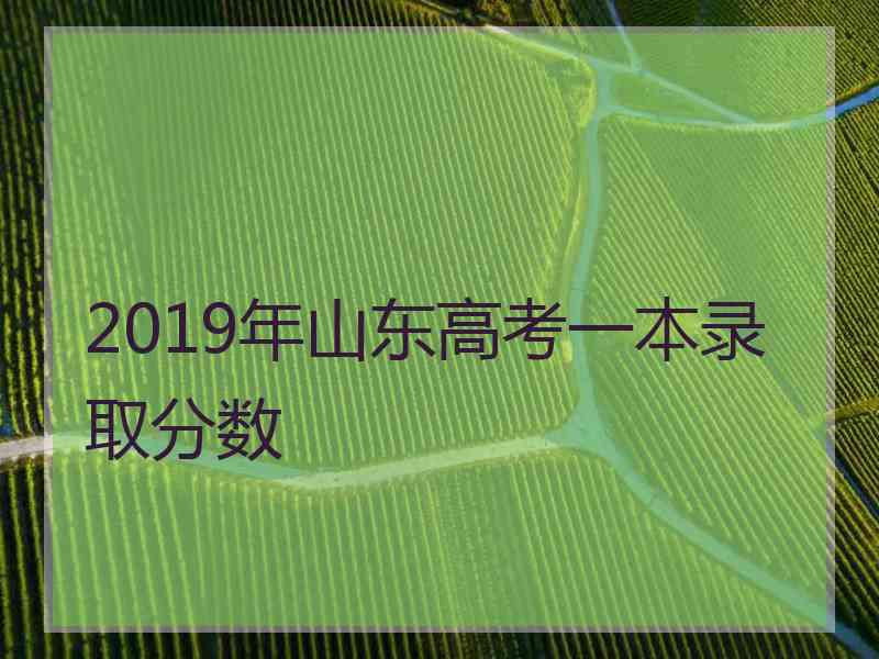 2019年山东高考一本录取分数