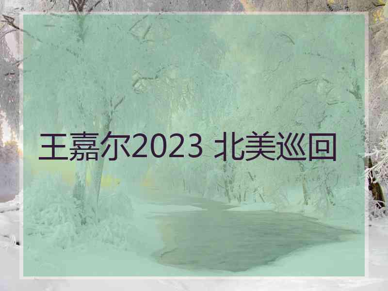 王嘉尔2023 北美巡回