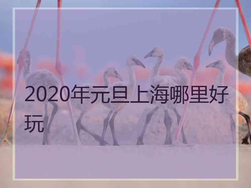 2020年元旦上海哪里好玩