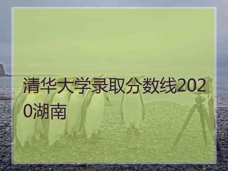 清华大学录取分数线2020湖南