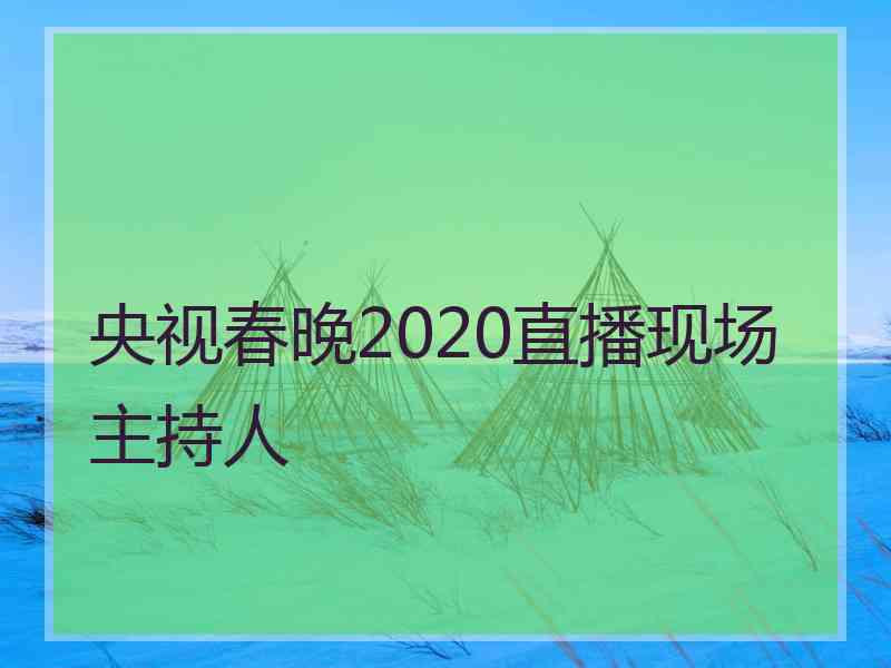 央视春晚2020直播现场主持人