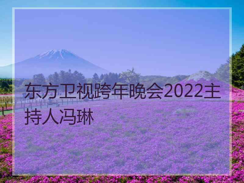 东方卫视跨年晚会2022主持人冯琳