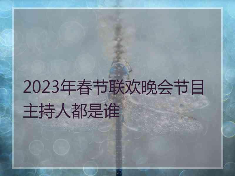 2023年春节联欢晚会节目主持人都是谁