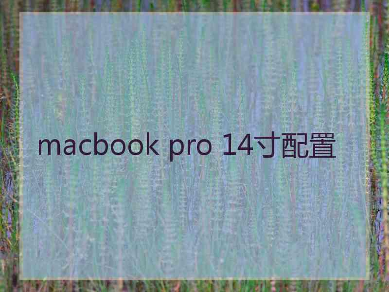 macbook pro 14寸配置