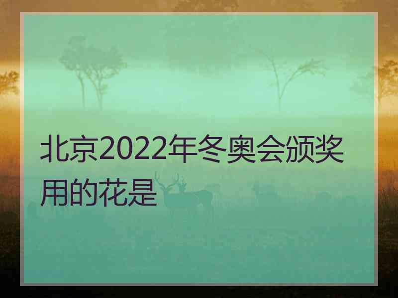 北京2022年冬奥会颁奖用的花是